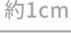 約1cm